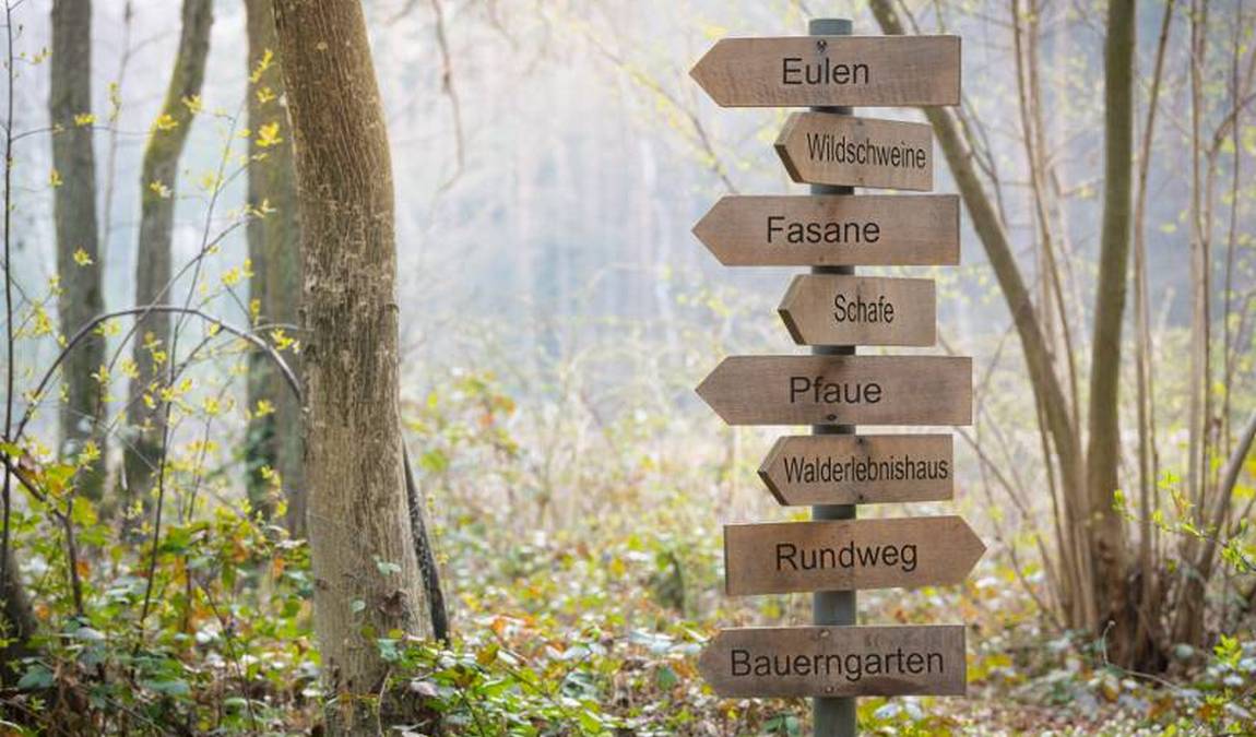 wildpark hollohe photo 1