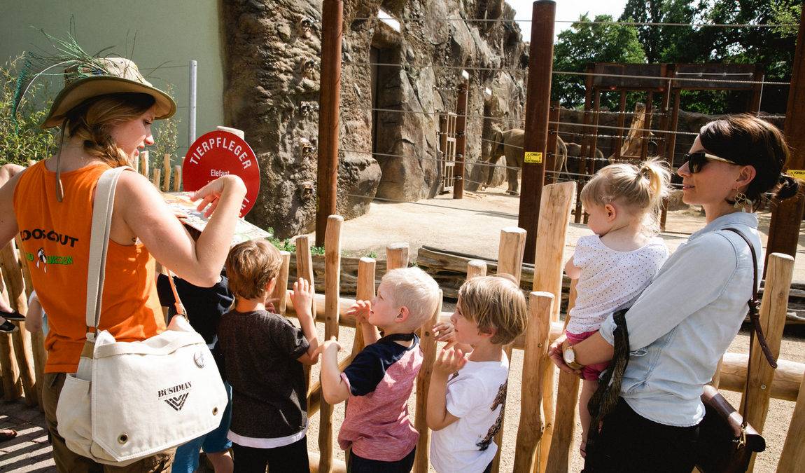 dresden zoo photo 11