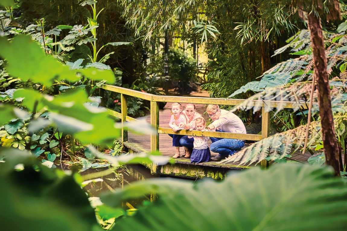 bird park walsrode photo 3