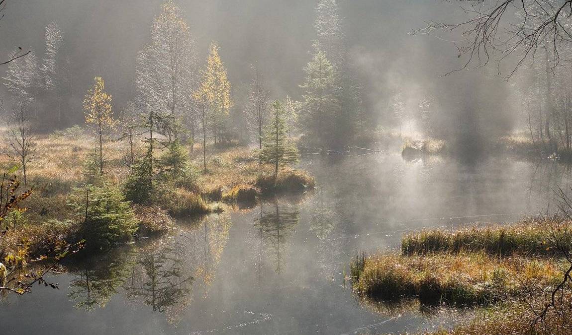 black forest national park photo 4