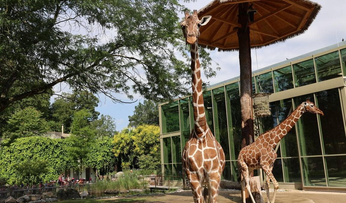 zoological gardens karlsruhe photo 1