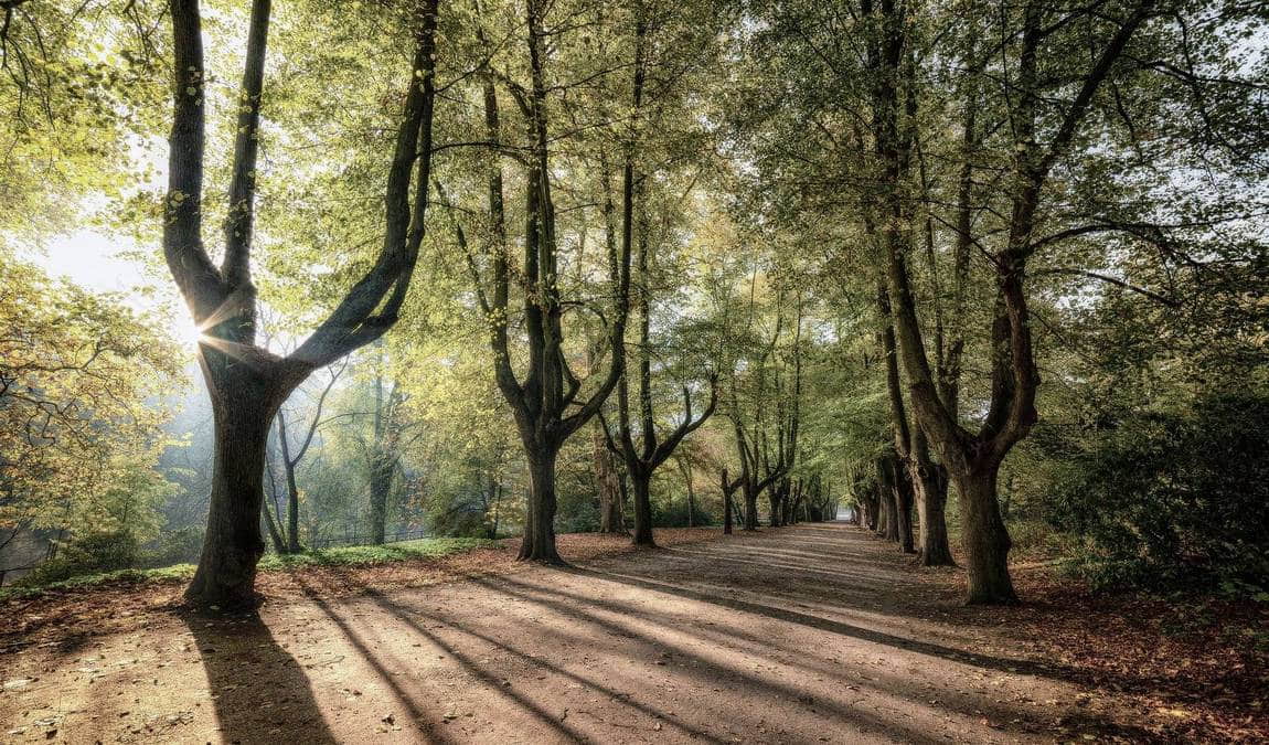 machern castle park and garden photo 3