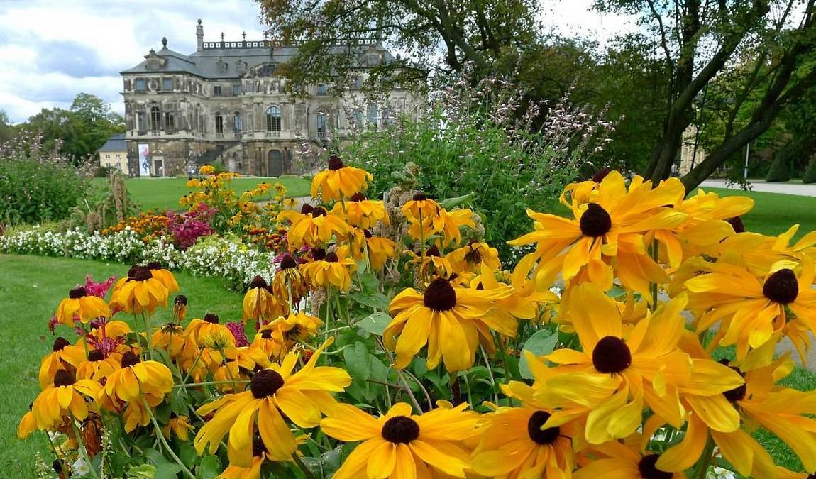 grand garden of dresden photo 1