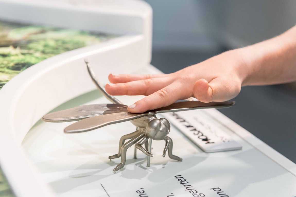 eifel national park photo 2