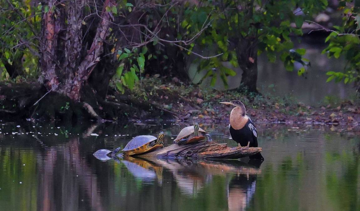 river park north photo 6