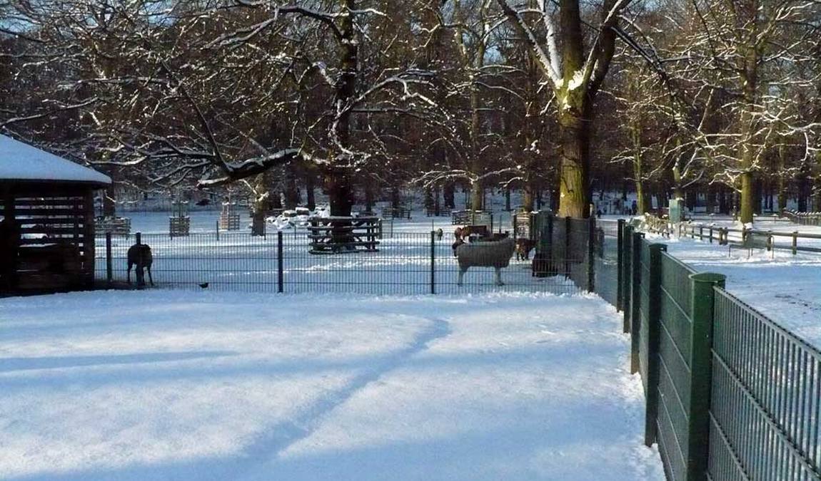 lindenthaler tierpark photo 4