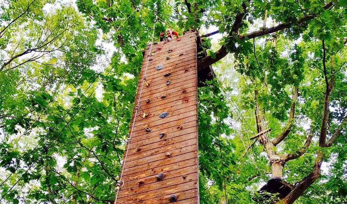 tree2tree climbing park photo 2