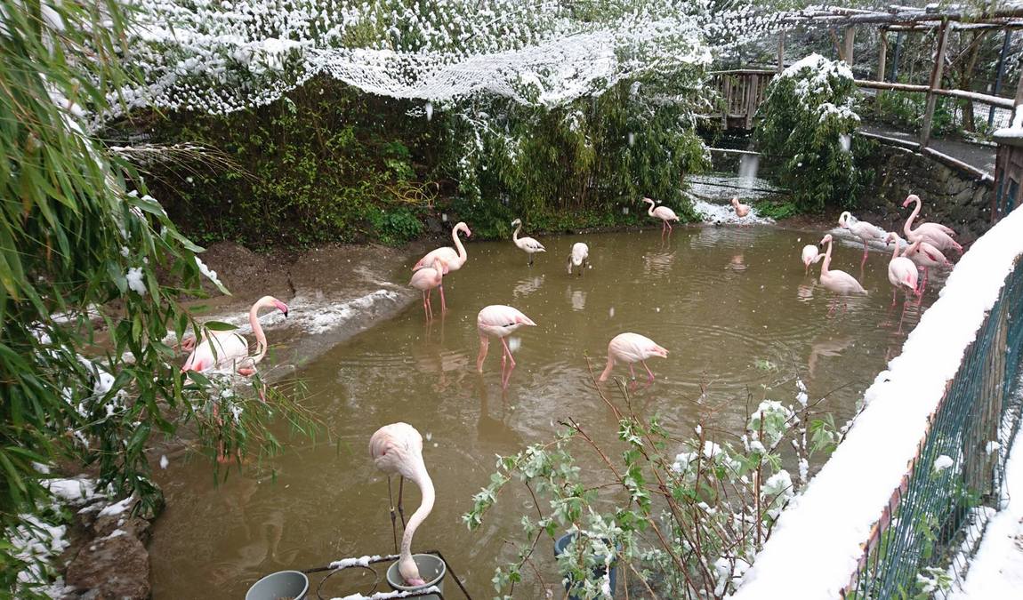 herborn gmbh zoo photo 3