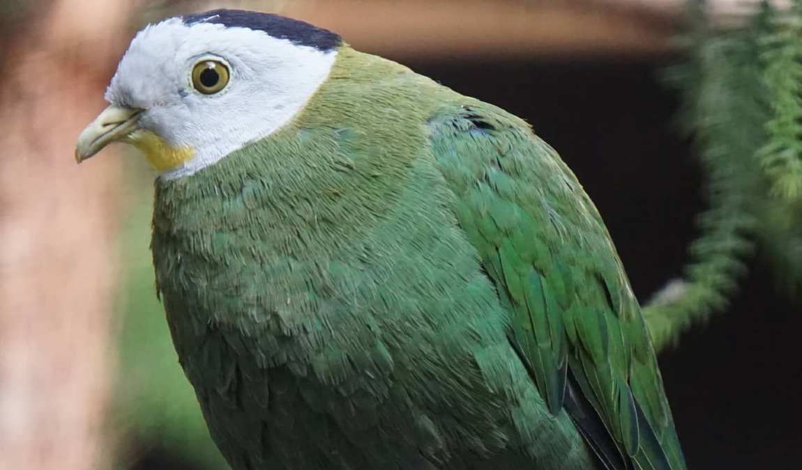 zoo braunschweig photo 4