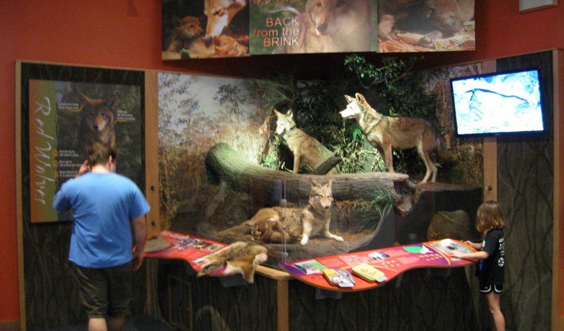 national wildlife refuges visitor center photo 3