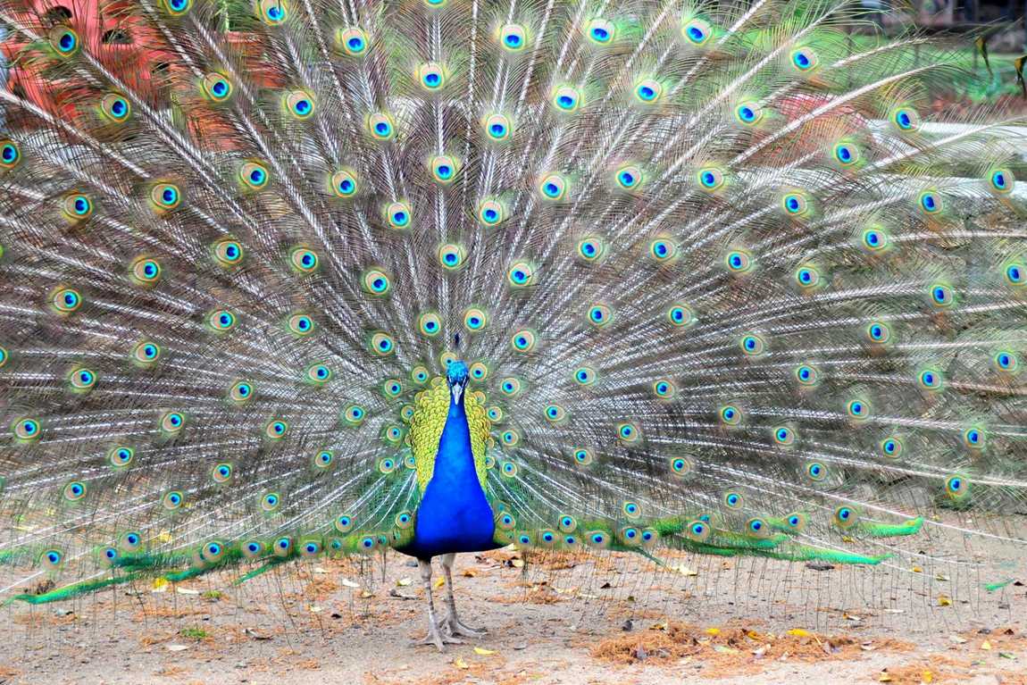 lazy 5 ranch photo 7