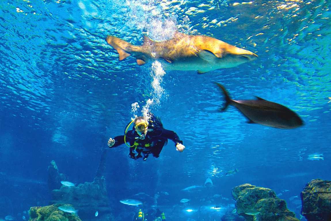 barcelona aquarium photo 1