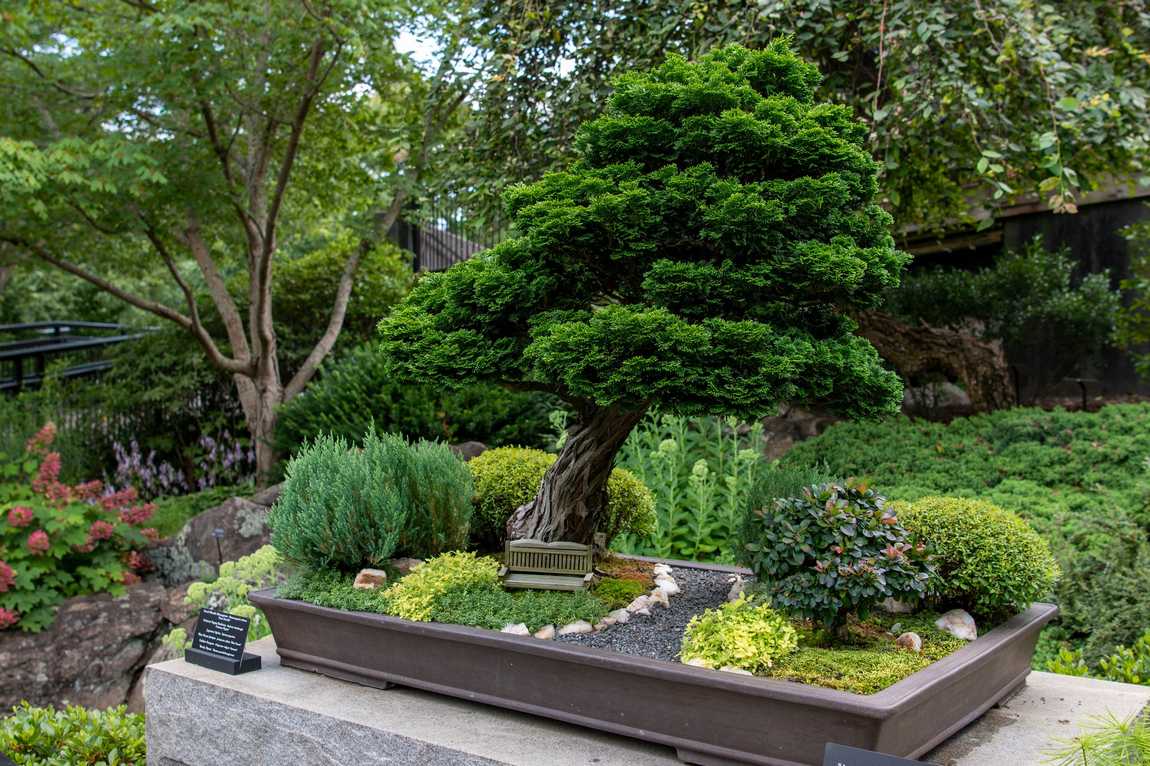 the north carolina arboretum photo 7