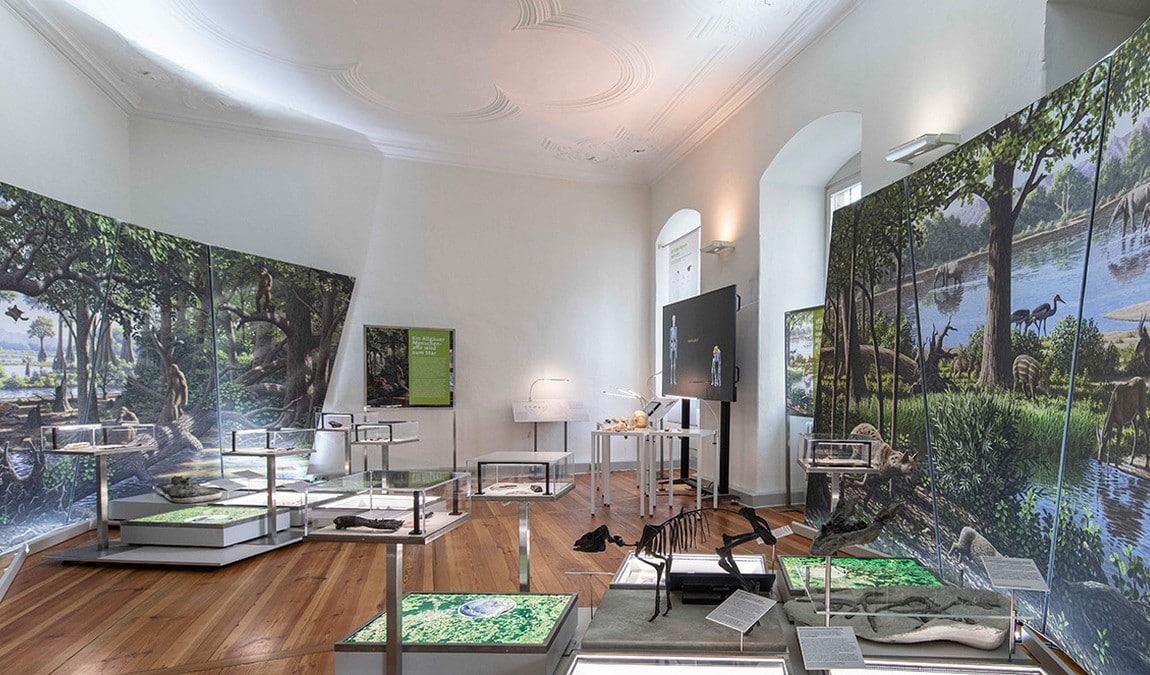 natural history museum photo 4