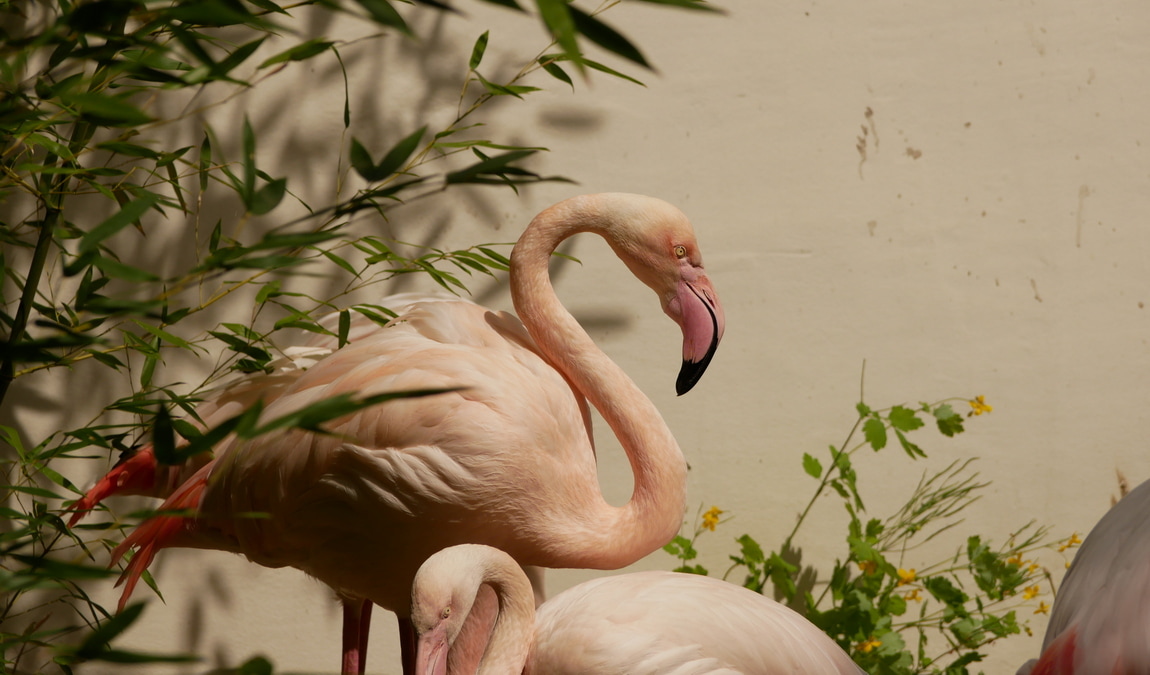 zoo hoyerswerda photo 2