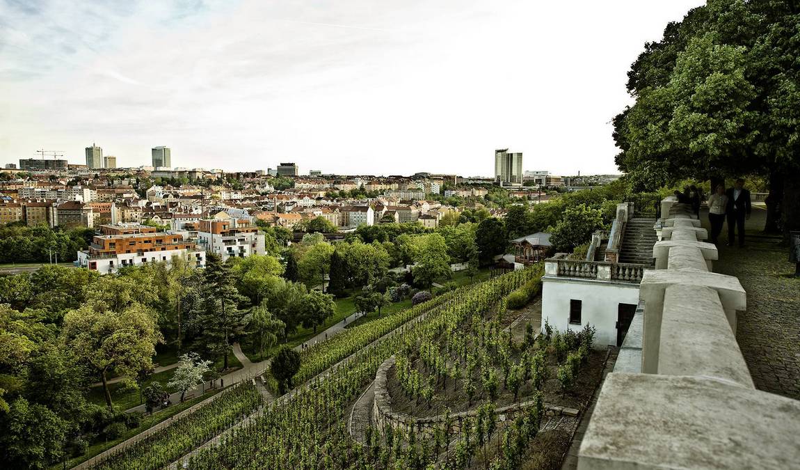 havlicek gardens  photo 2