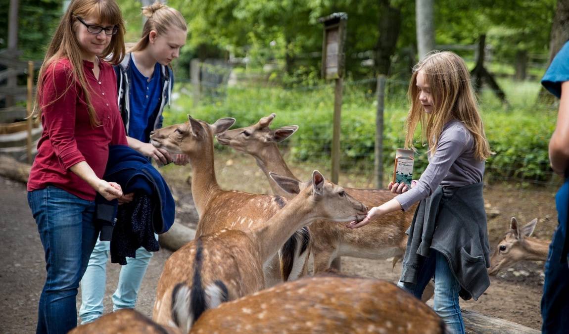 bad mergentheim wild park photo 4