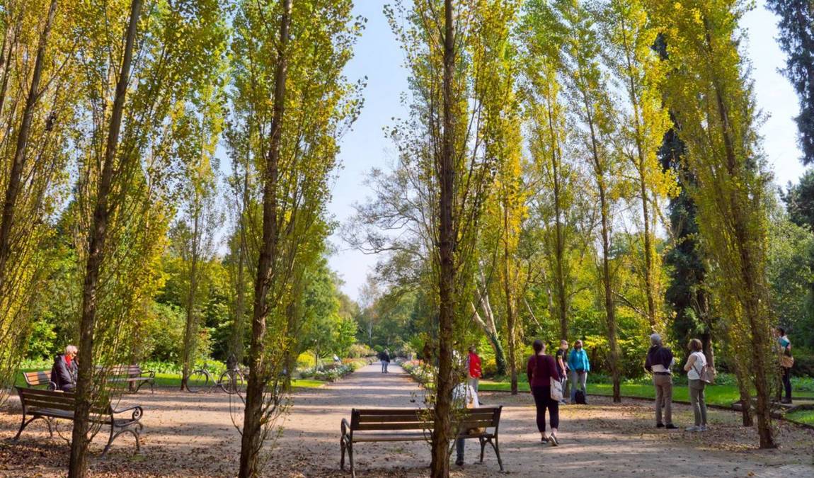 rombergpark botanical garden photo 5