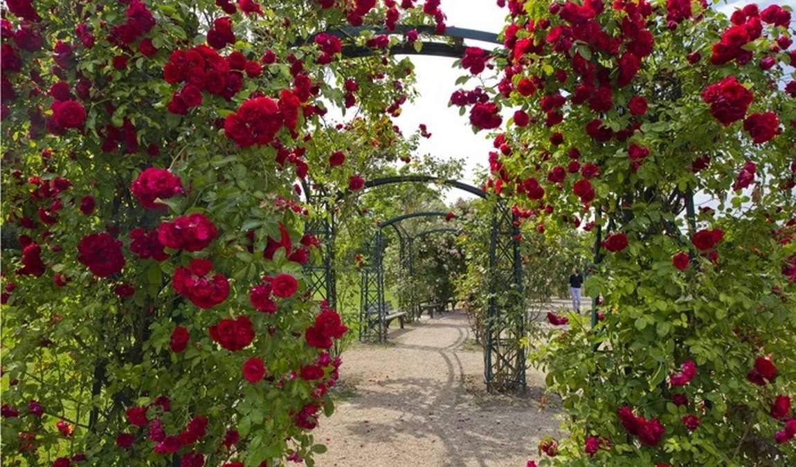 rheinaue leisure park photo 5