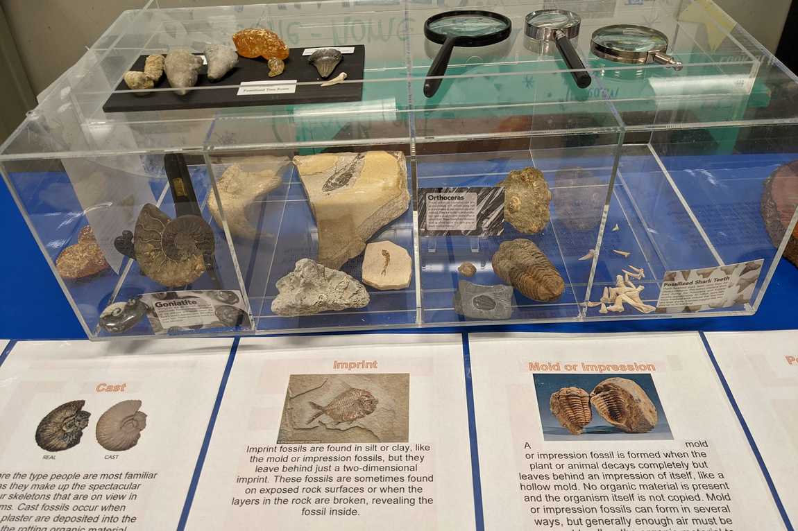 asheville museum of science photo 6