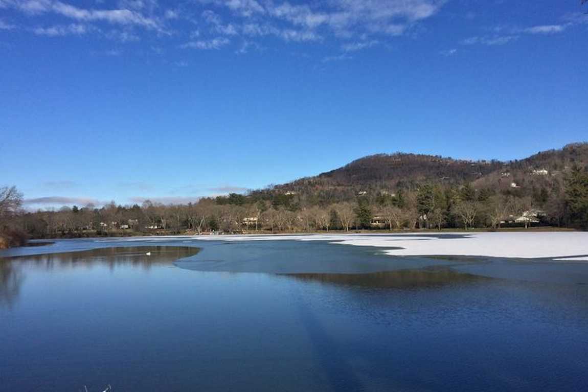 beaver lake bird sanctuary photo 3