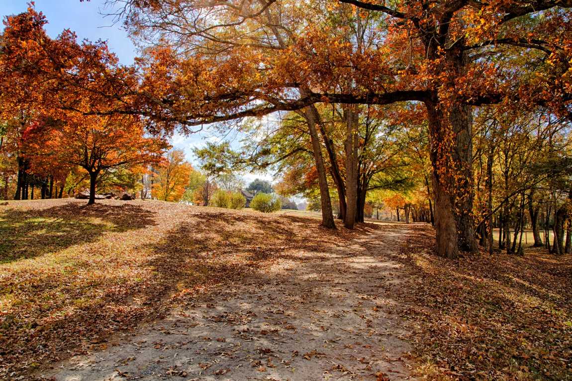 anne springs close greenway photo 1