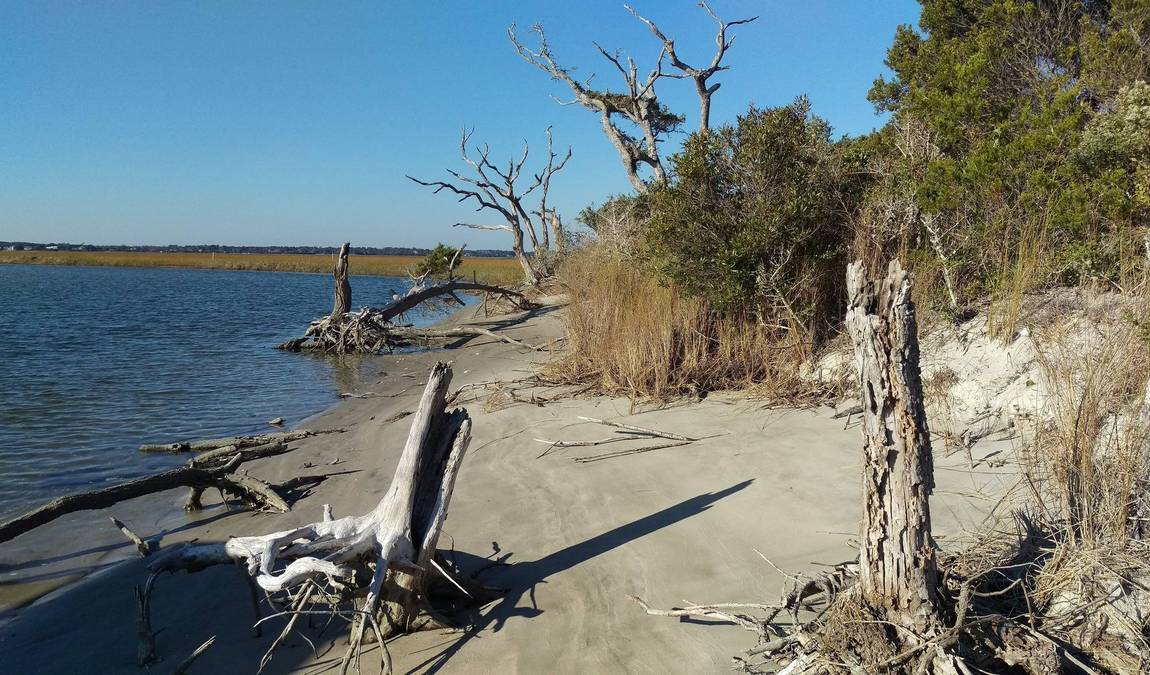 hammocks beach state park photo 4