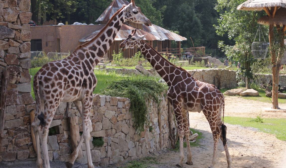 zoo jihlava photo 5