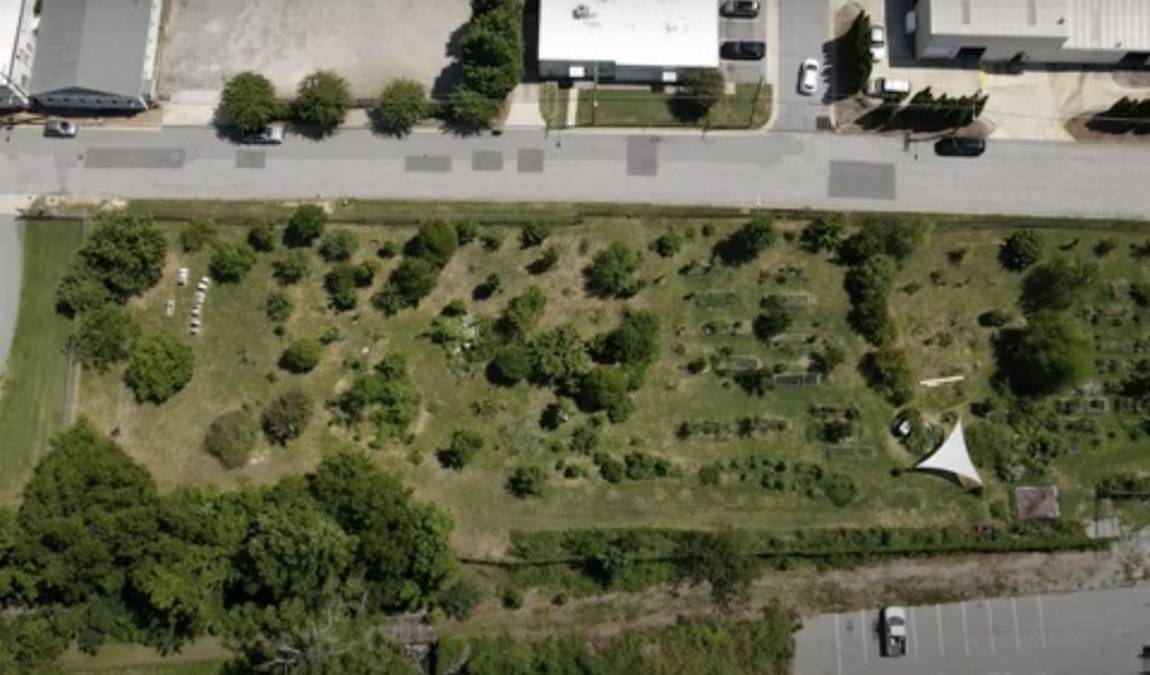 black diamond backyard photo 1