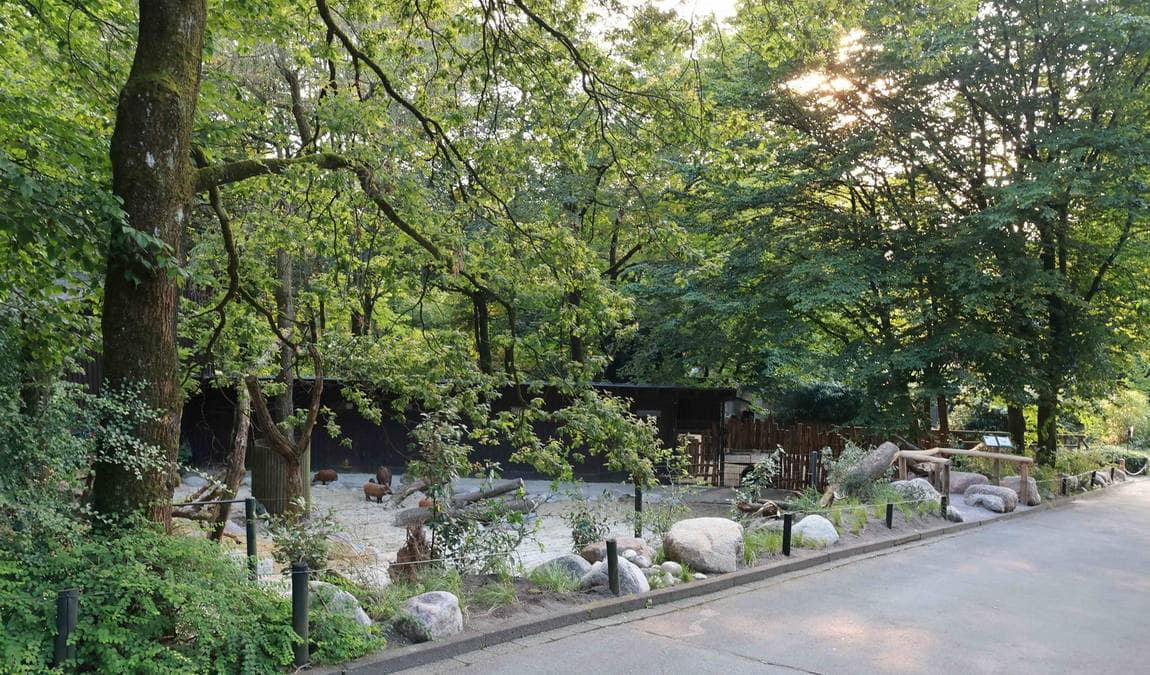 wuppertal zoo photo 4