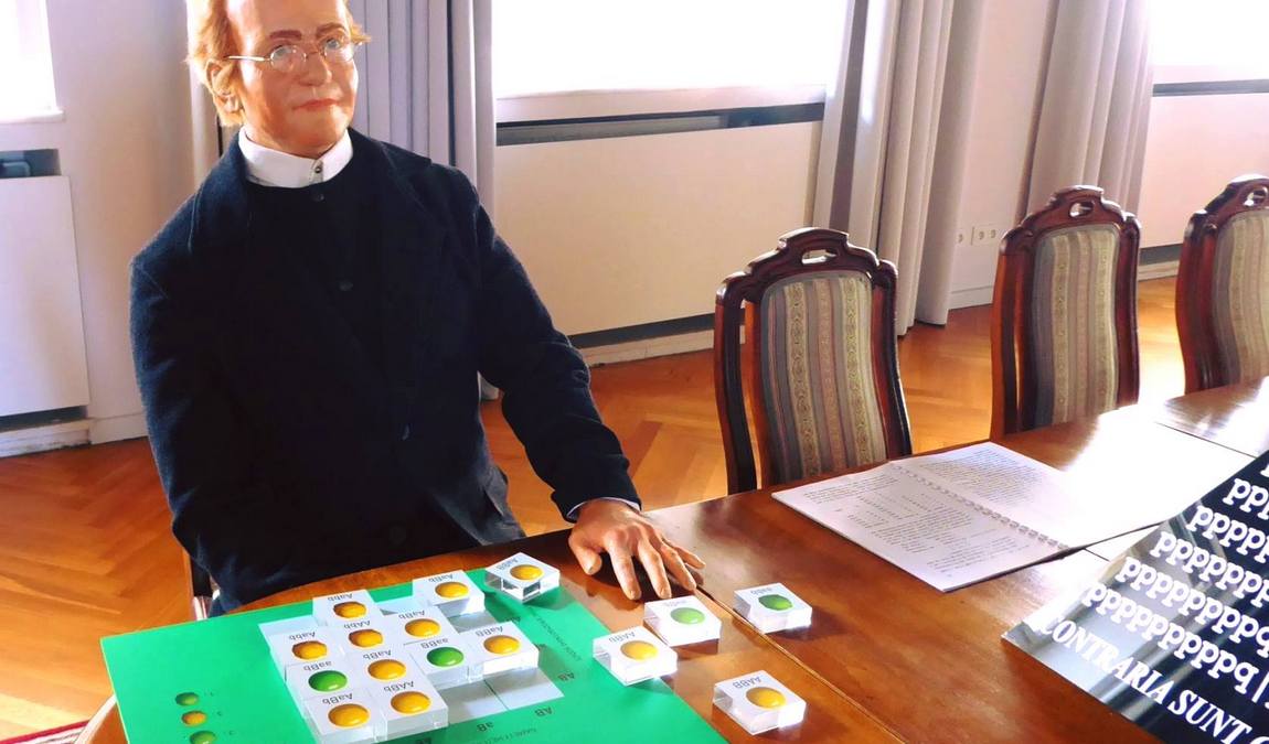 mendel museum photo 3