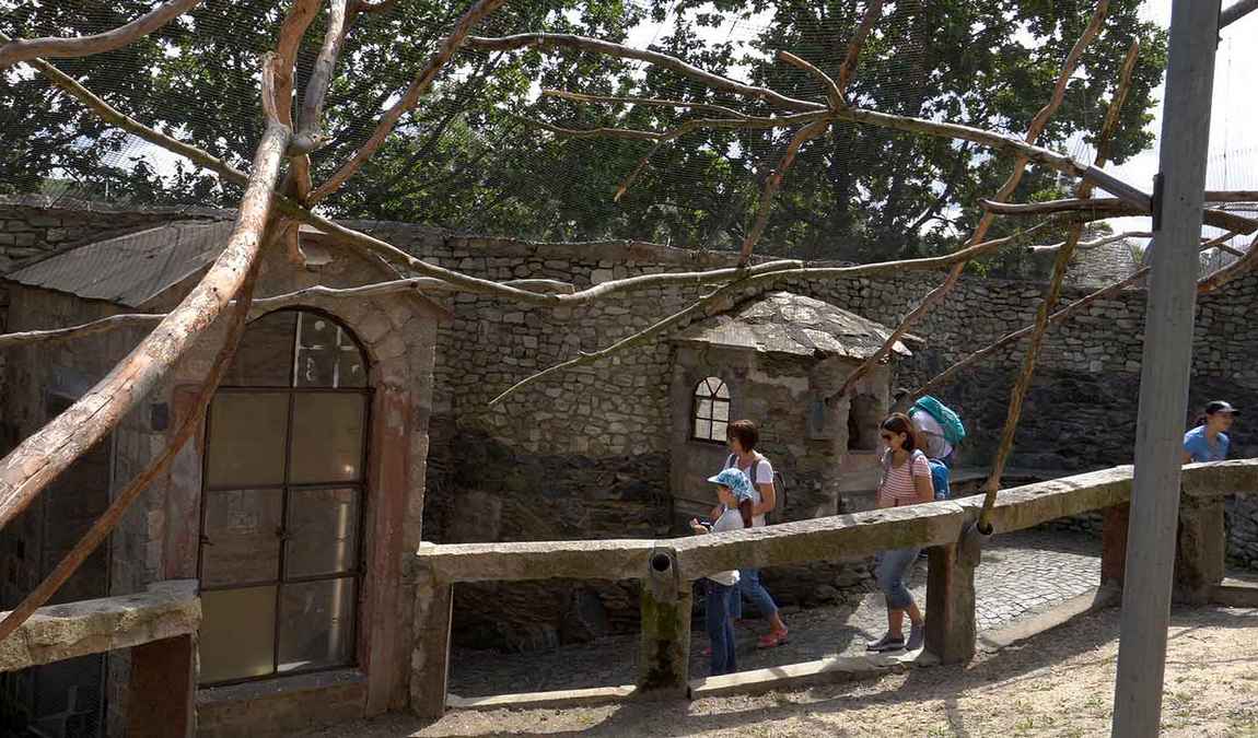 vogelburg weilrod photo 5