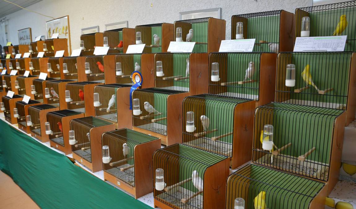 bird park schifferstadt photo 6