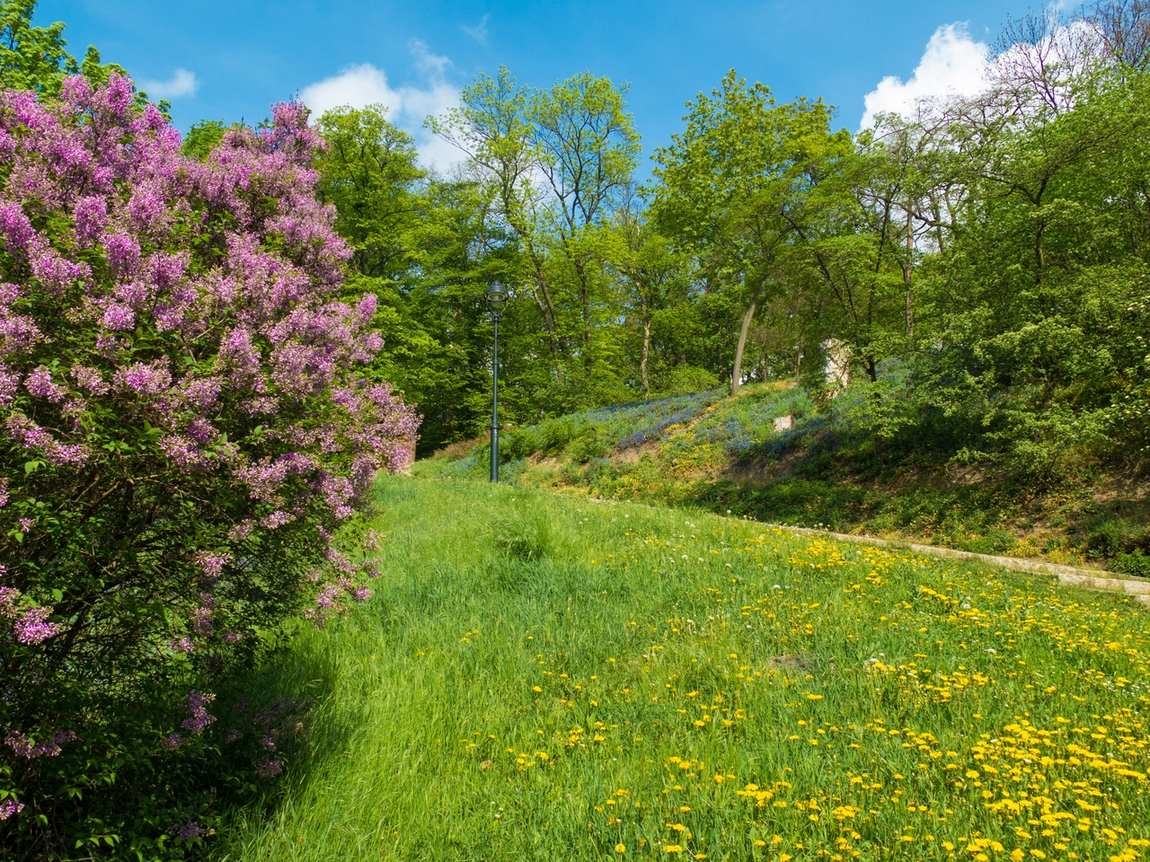 kinsky garden photo 6