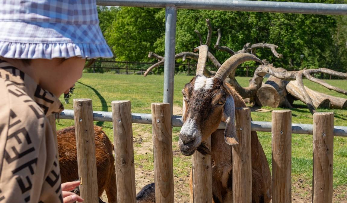 farmapark sobehrdy photo 7