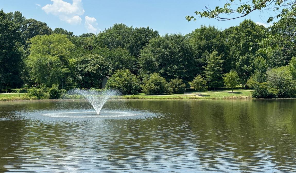 roosevelt wilson park photo 3