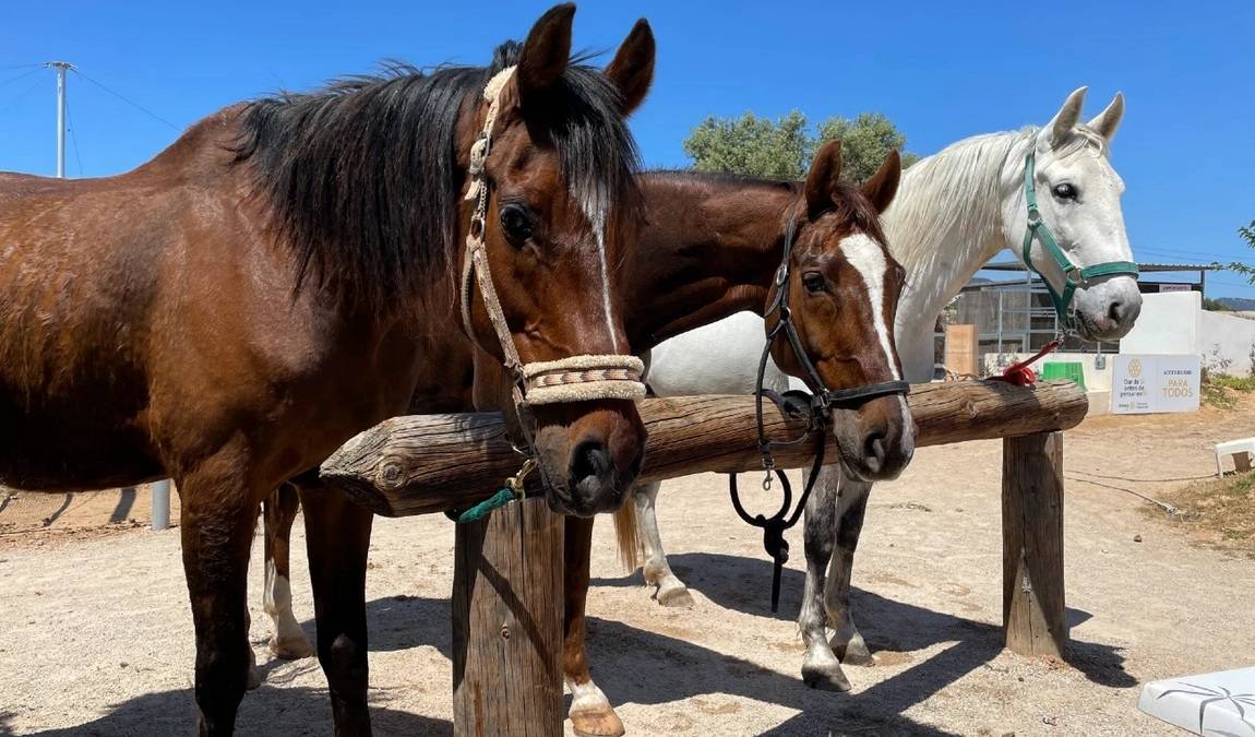 finca s'illa photo 1