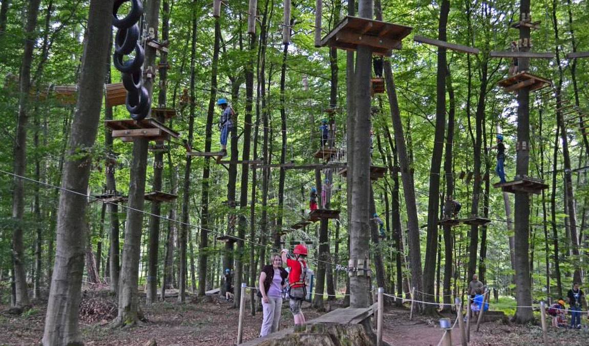 kletterwald kassel photo 3