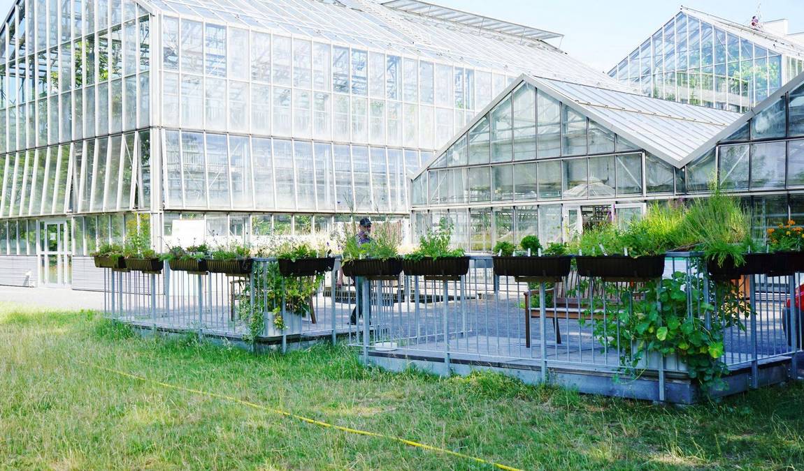 leipzig botanical garden photo 10