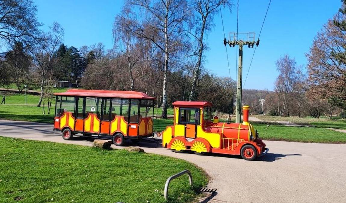 franco-german garden photo 7