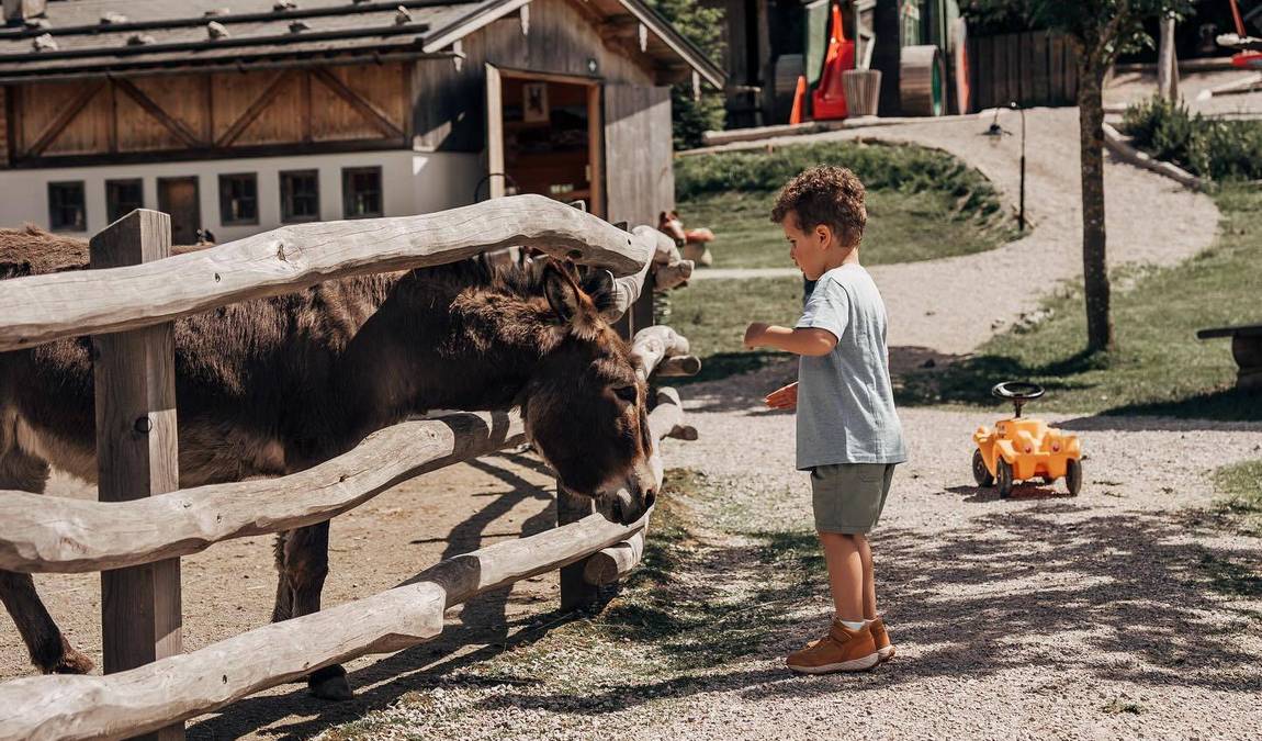 the minigut photo 4