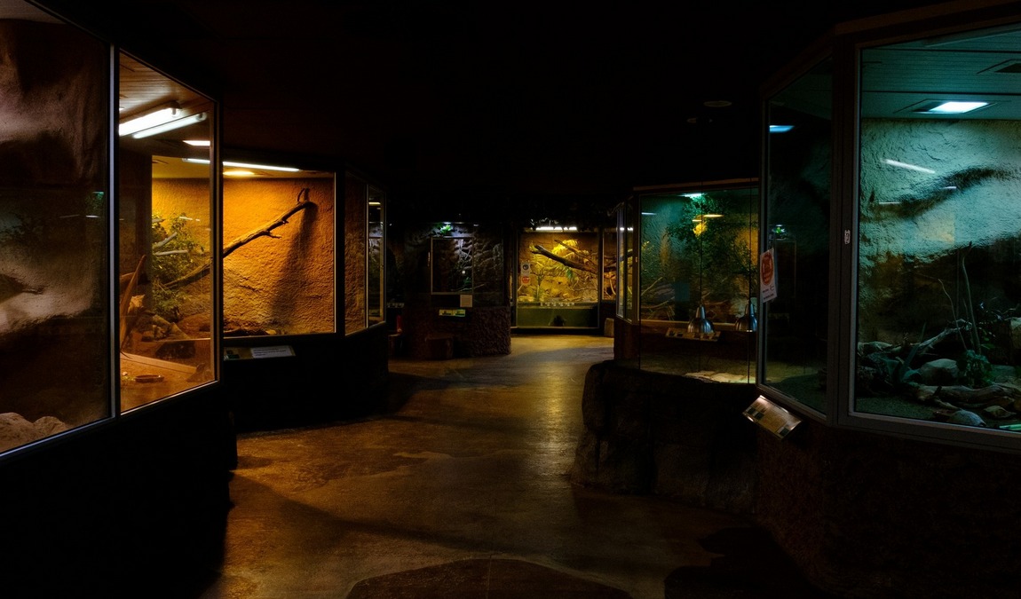 reptilium terrarium and desert zoo photo 2