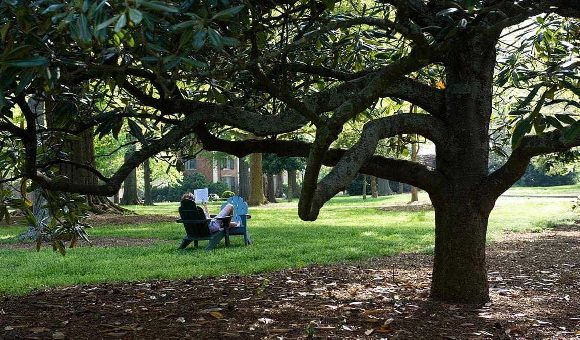 davidson college arboretum photo 1