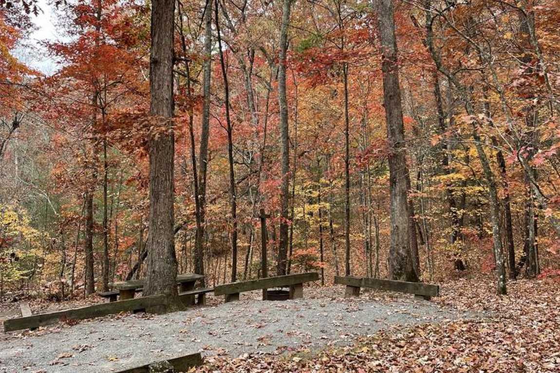 lake powhatan recreation area & campground photo 5