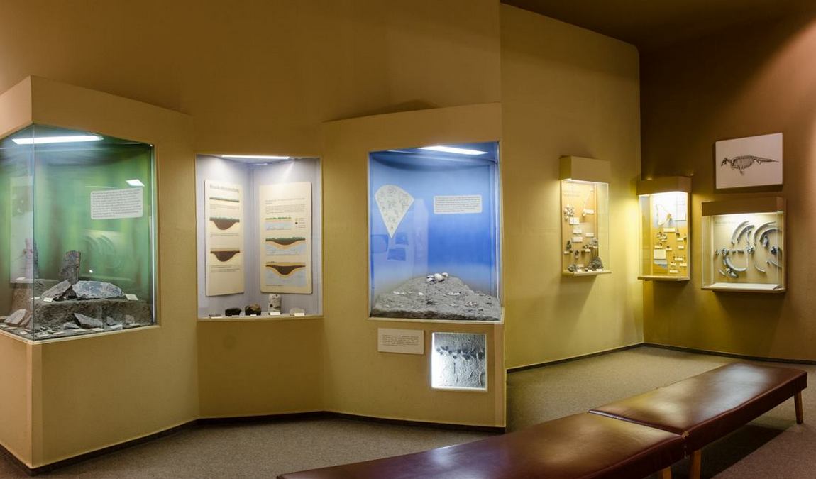 natural history museum photo 6