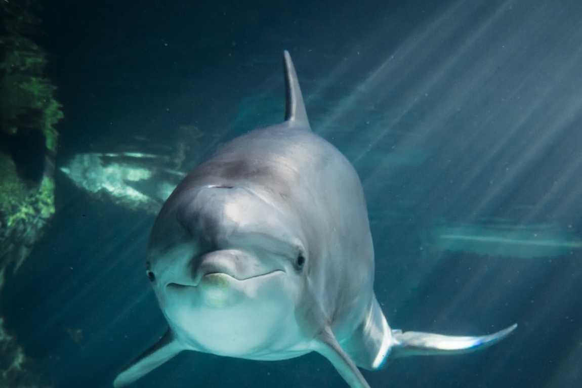 duisburg zoo photo 4