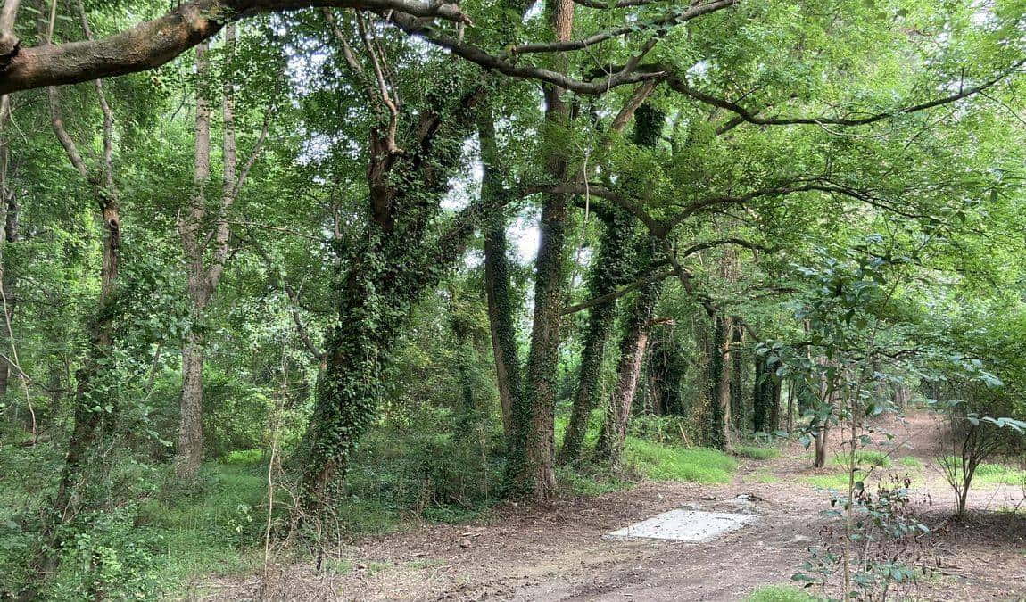 knightdale station park photo 7