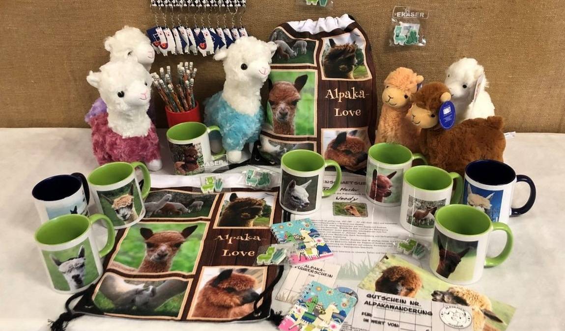 alpakahof ausham photo 5