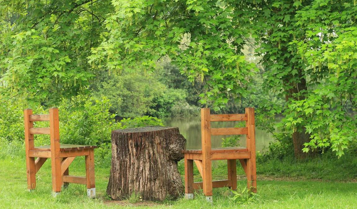 wildpark alte fasanerie photo 3