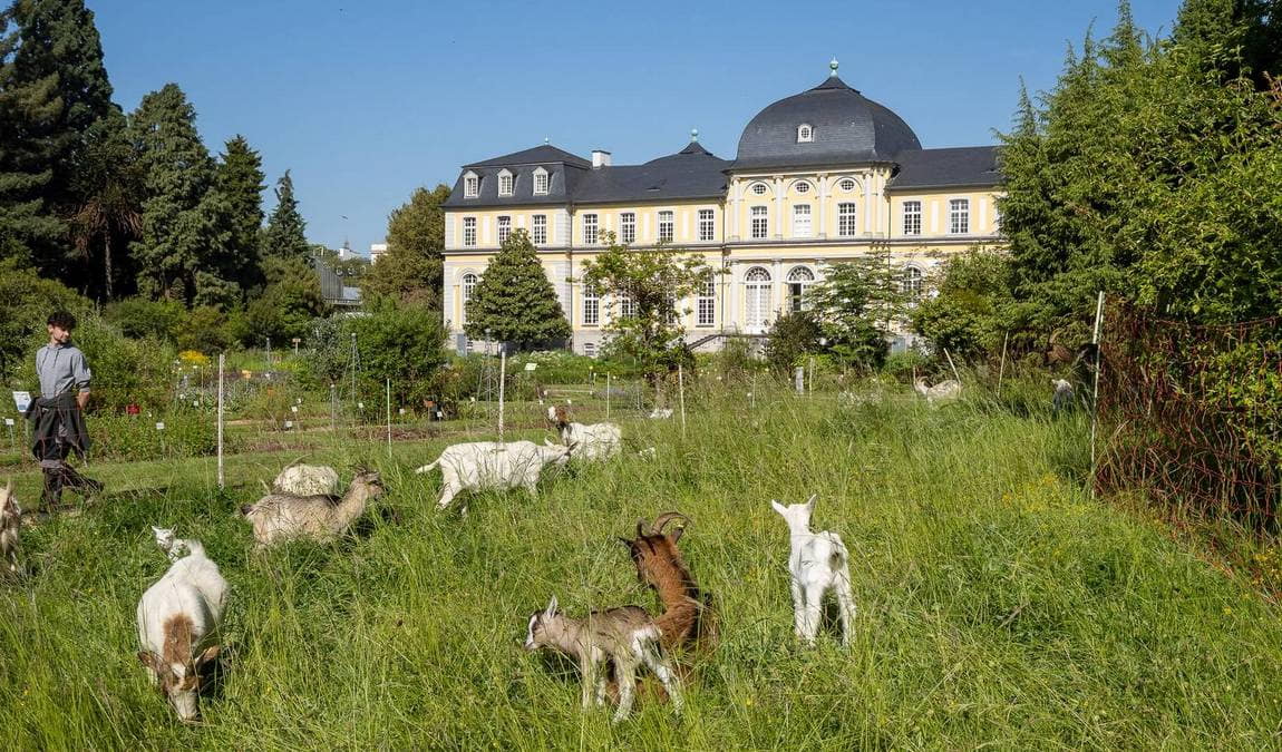 bonn botanical gardens photo 7